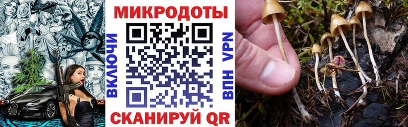 Псилоцибиновые грибы MAGIC MUSHROOMS  Лихославль 