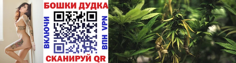 Конопля план Лихославль